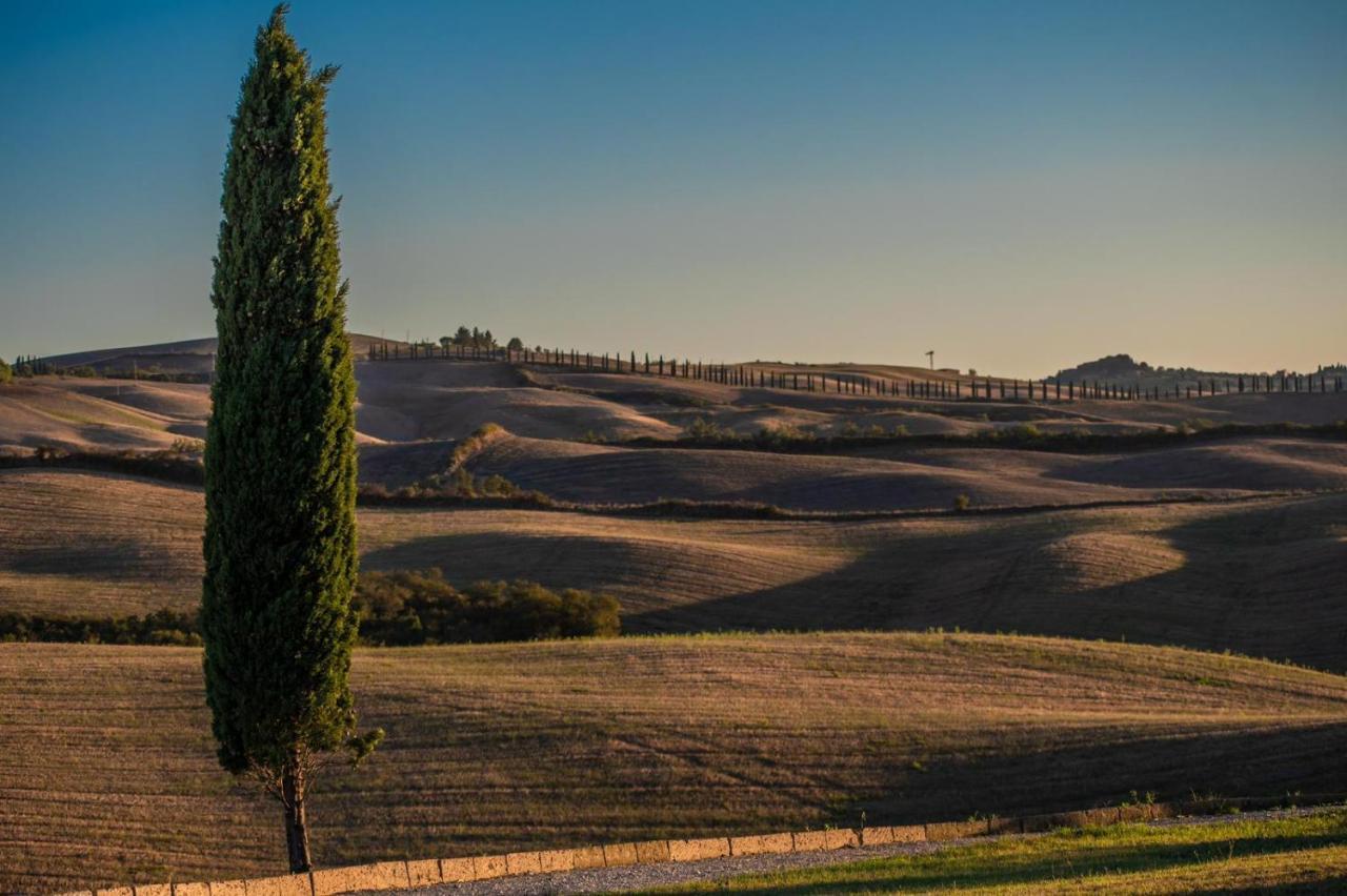 Casa Lavanda - Podere Fossaccio Asciano Exterior photo